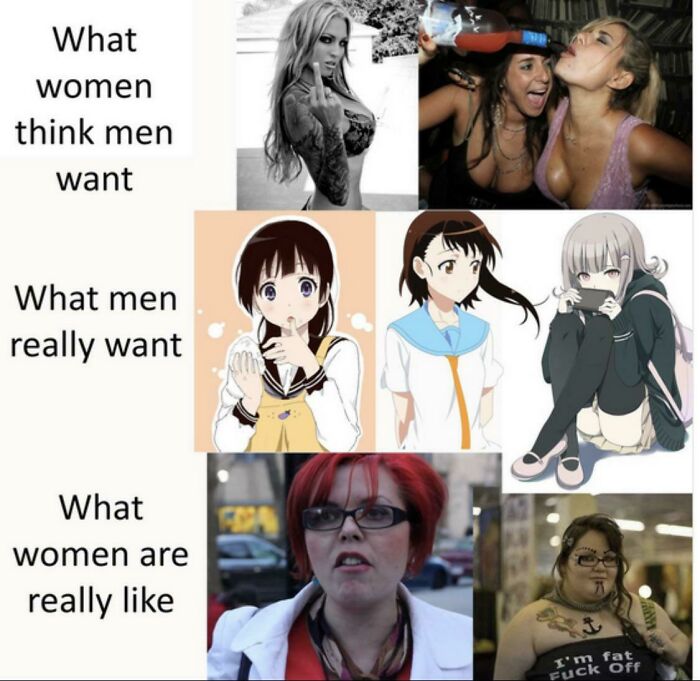 Average Hentai Addict