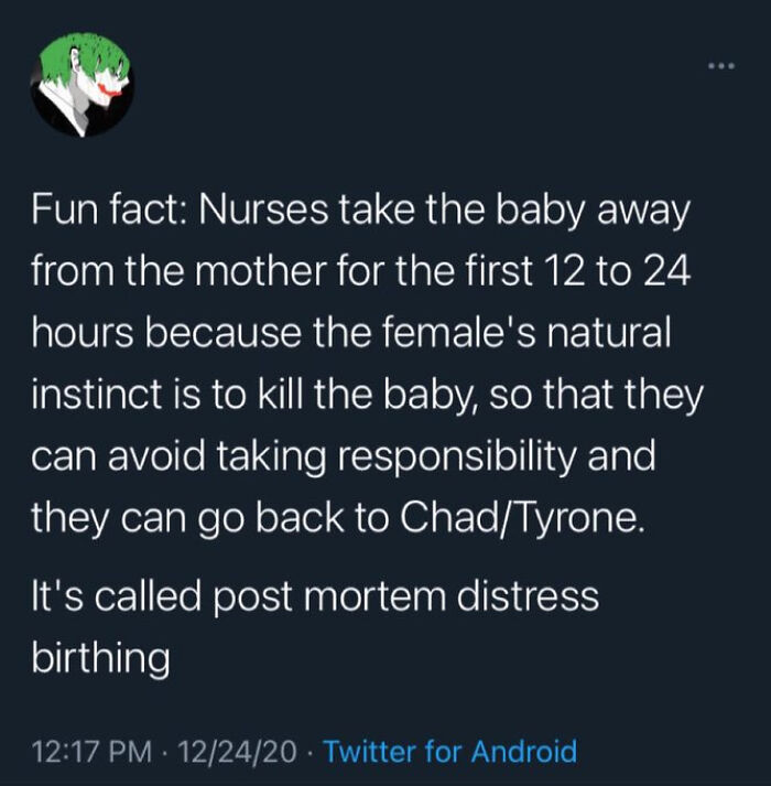 It Always Starts With 'Fun Fact:'