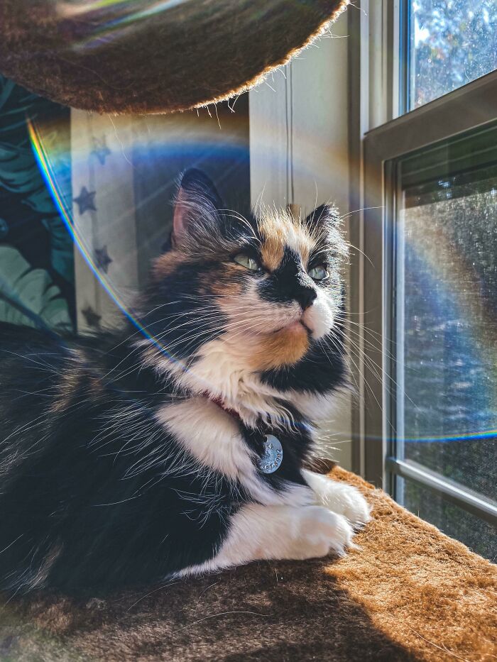 Today I Got The Luckiest Shot Of My Girl, The Rainbow Halo Suits Her