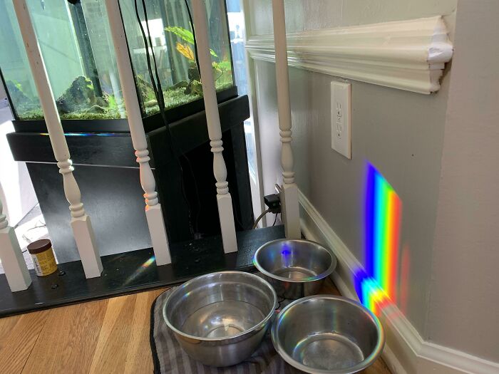 This Perfectly Defined Rainbow That Shows Up On The Wall Every Sunny Day