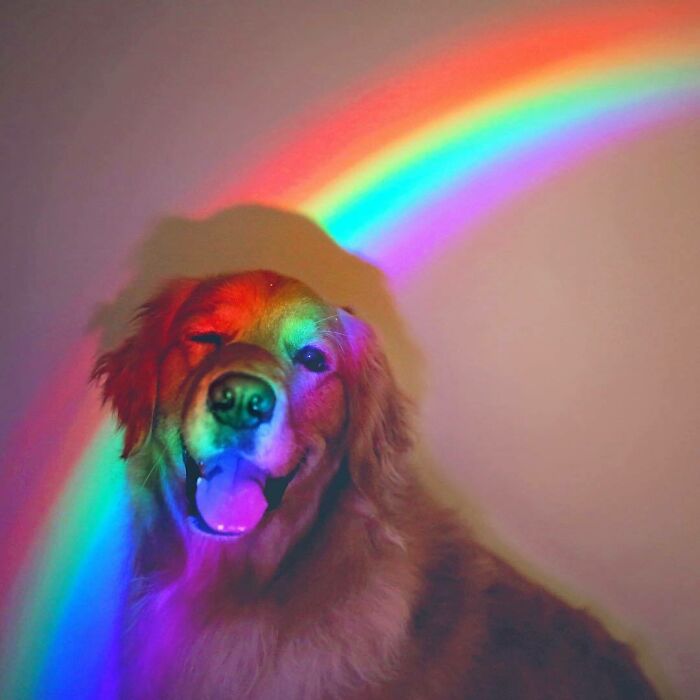 Rainbow Boye