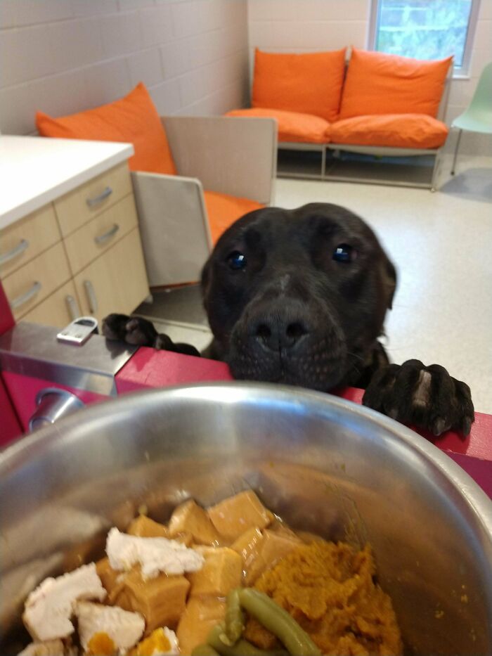 Thanksgiving Dinner At The Shelter