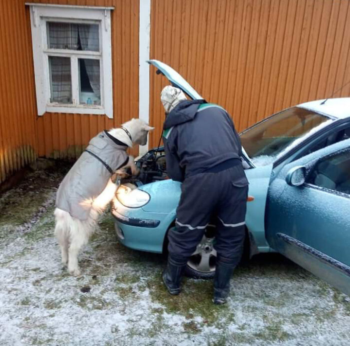 My Dad (On The Right) Fixing My Car With A Little Helper.