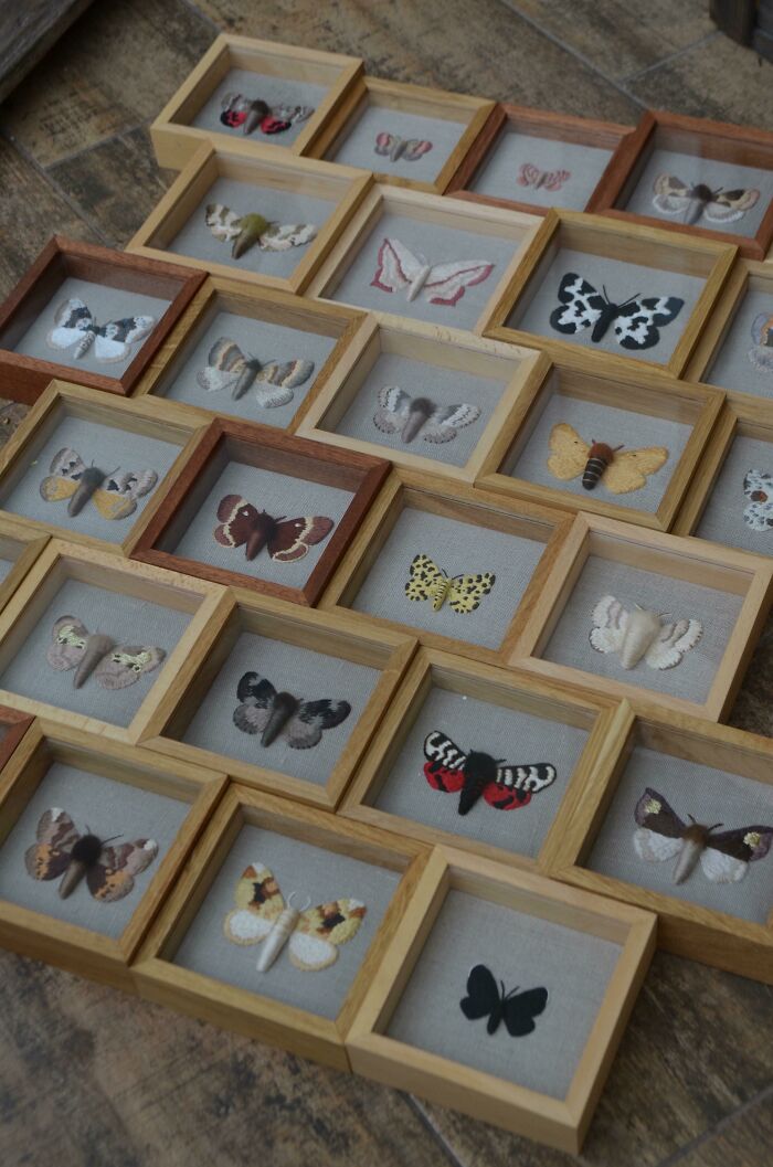 ¡Mi colección entomológica bordada no para de crecer! 