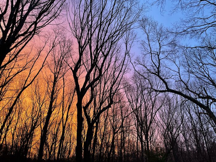 The Sky This Morning Looked Like A Rainbow Gradient