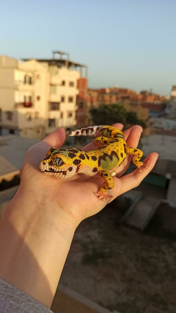 Mi gecko leopardo de ganchillo
