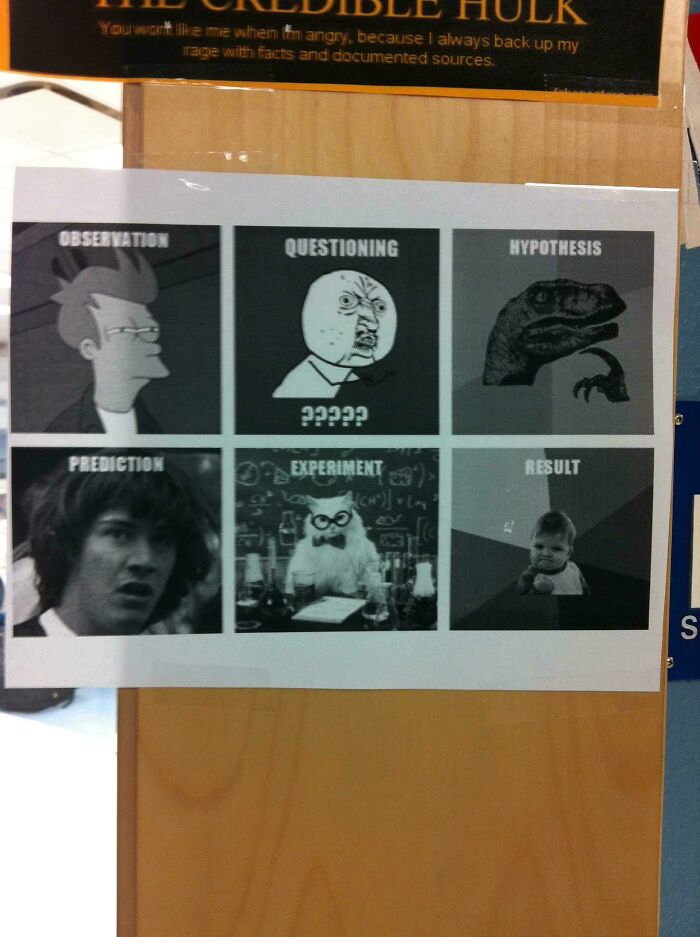 How My Teacher Describes The Scientific Process