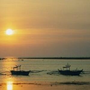 beth_wheatley avatar