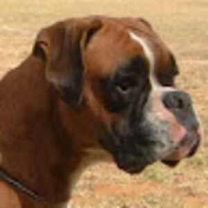 thomasjones_1 avatar