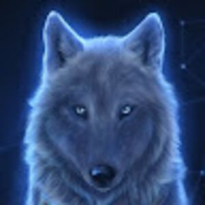 michelecederquist avatar