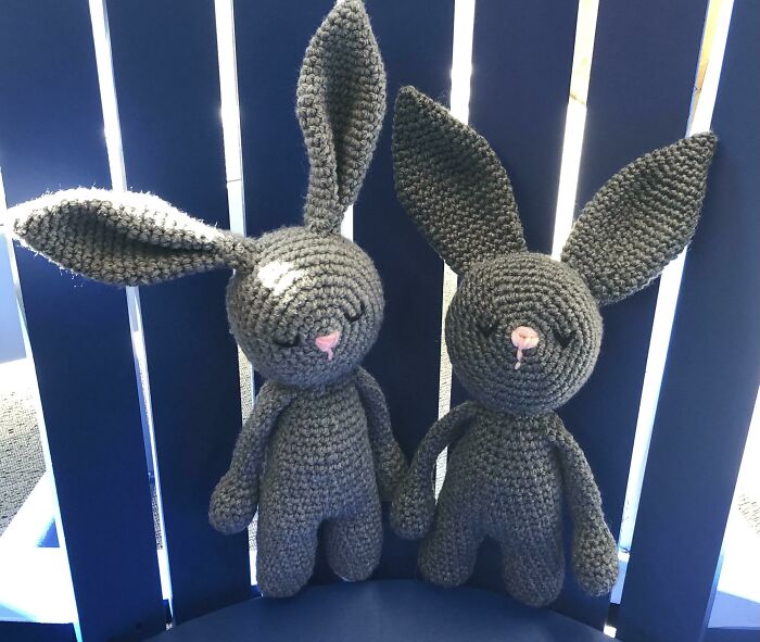 Do You Like The Closed Ears Or Open?