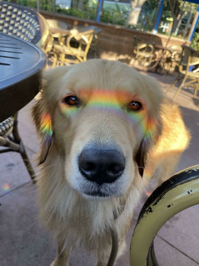 After Every Storm, There Is A Rainbow