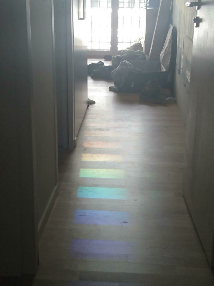 Sunlight Was Dispersed And Reflected By The Building Facing Mine, Then Passed Through My Blinds And Ended Up On My Floor