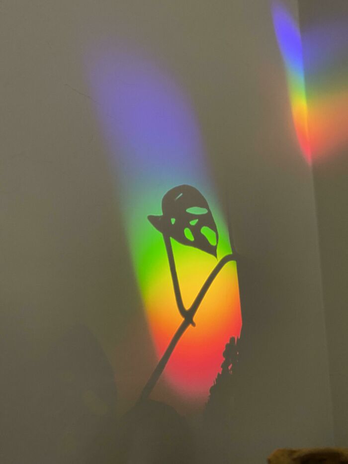 Rainbow Reflection