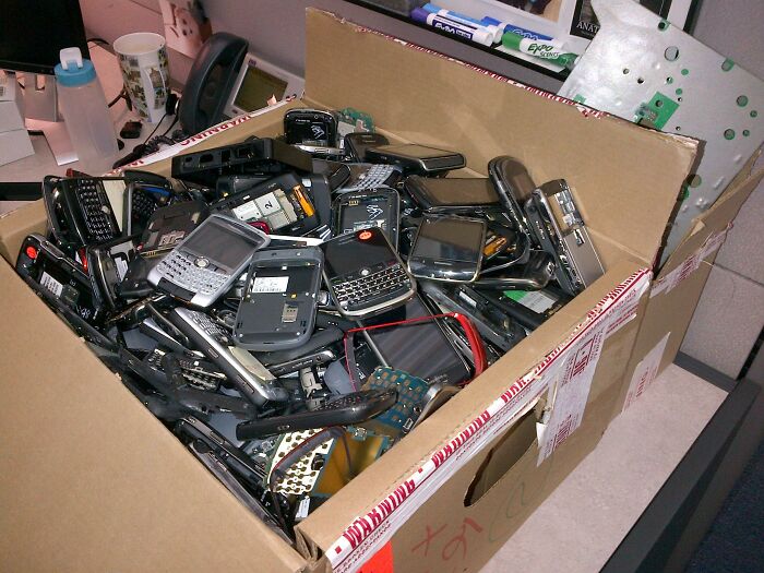 Blackberry Graveyard!