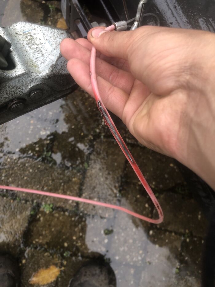 Boss Be Like: We’ll Look At That But Not Now. (Proceeds To Drive 200km)