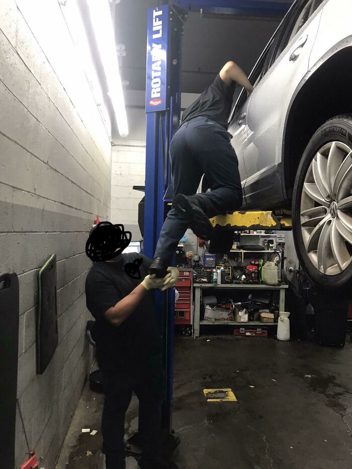 At Least They Don’t Have To Worry About The Top Rung Of The Ladder