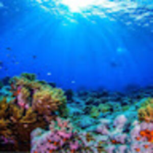 gabrielfollistein avatar