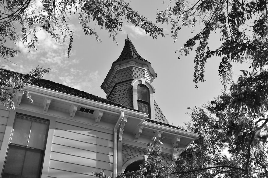 I Took These Photos, And I&rsquo;m Very Proud Of Them!