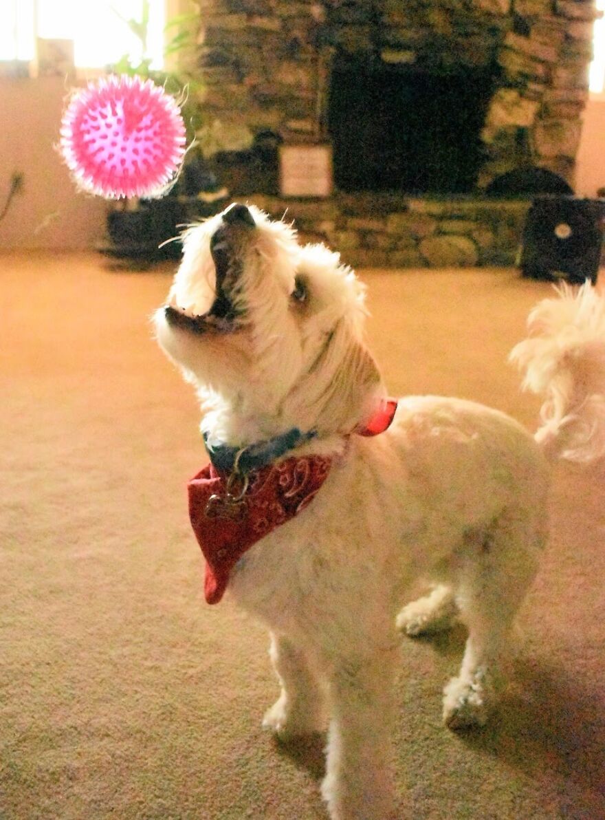 I Took These Photos, And I&rsquo;m Very Proud Of Them!