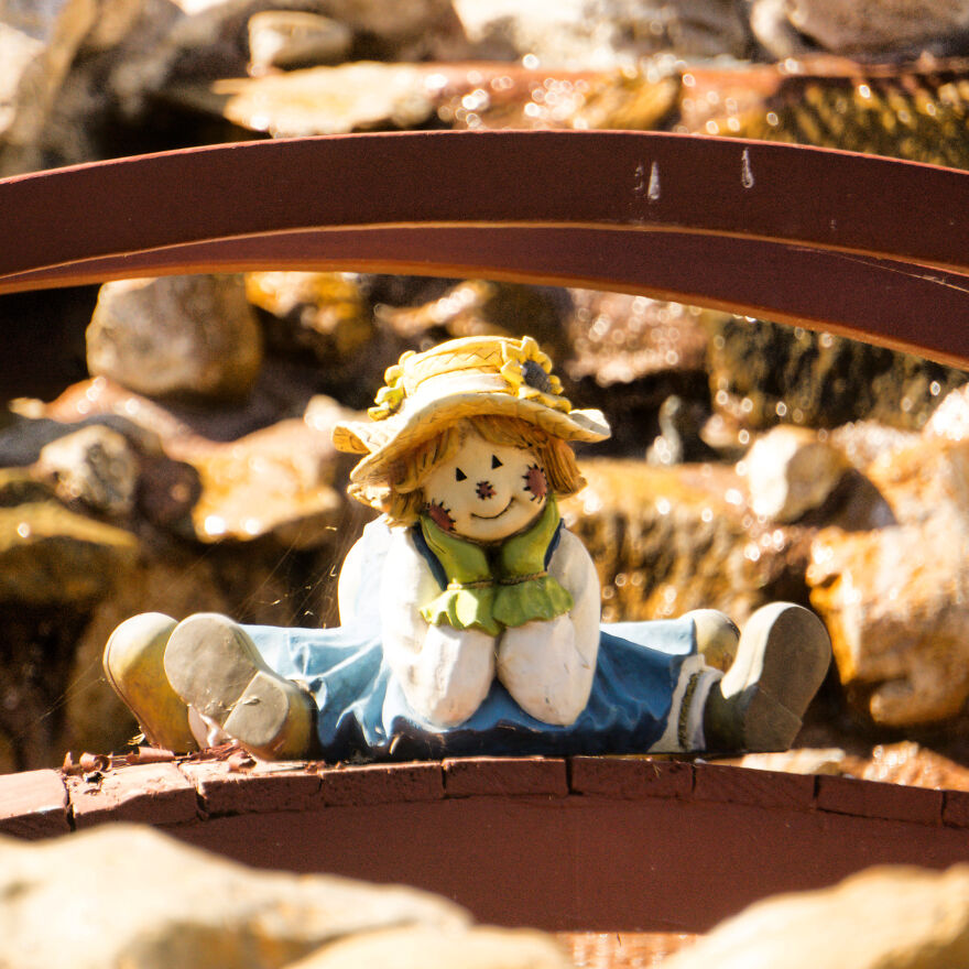 I Took These Photos, And I&rsquo;m Very Proud Of Them!