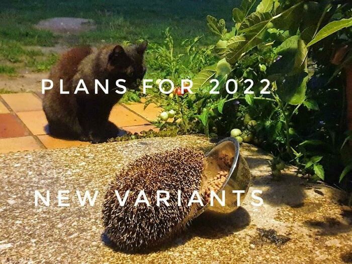 On The Plus Side: I Am Going To Experience Delta Plus And Omicron Duking It Out