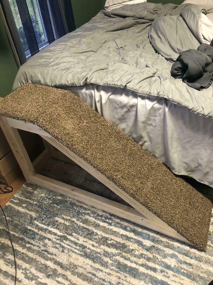 I Made A Ramp For My 13 Year Old Dog To Get On My Bed