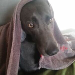 andrew_mathison avatar