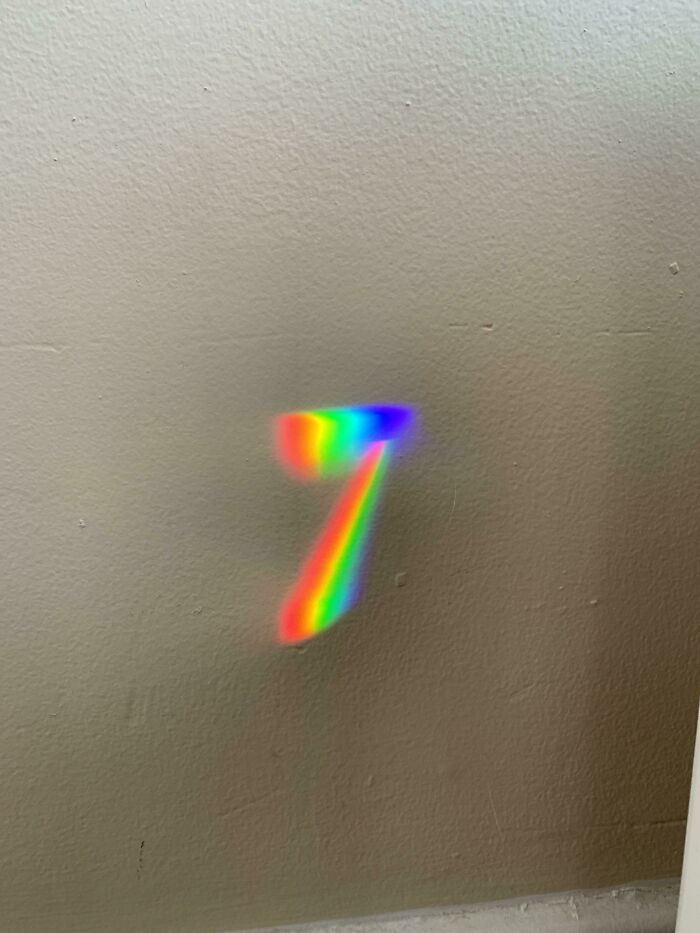 The Refraction Of Light Coming From My Turtle’s Tank