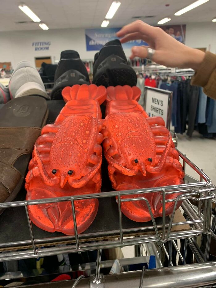Lobster Flip Flops. 10/10 Would Wear