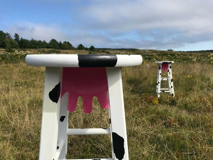 These Cow Stools, Complete With Udders