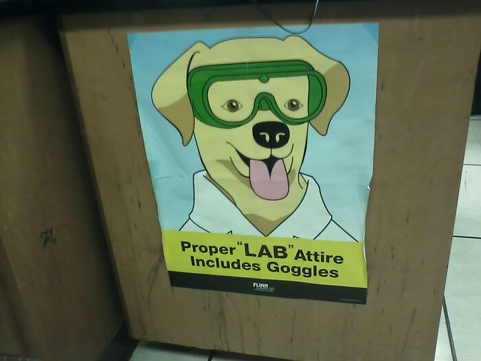 A Subtle Reminder In My Chemistry Classroom That "I Have No Idea What I'm Doing"