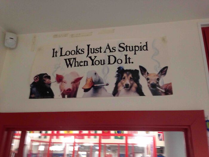 Anti-Smoking Campaign Poster I Found In My History Teacher's Classroom