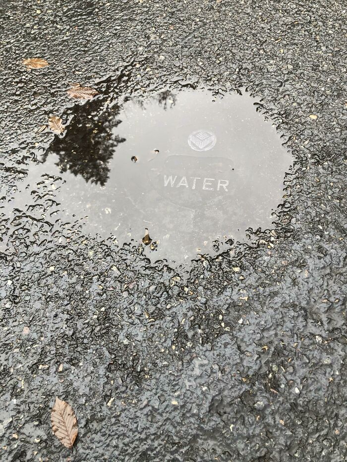 This Puddle Is Labeled