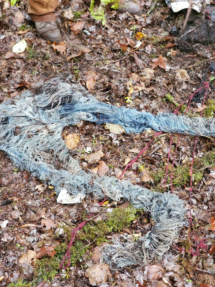 Decomposing Jean Pants I Found On The Job Yesterday