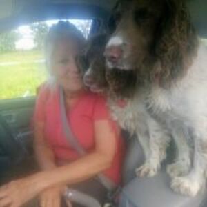 jaynetiggerboing avatar