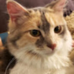 kaelumgardner avatar