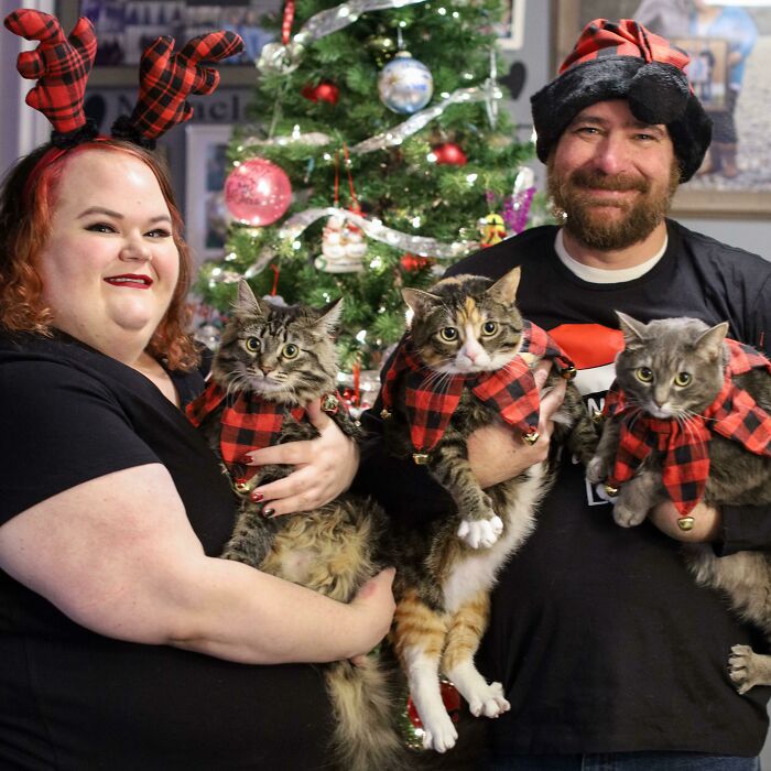 Christmas Photos With Our Pasta Cats (Penne, Spaghetti And Fettucine)