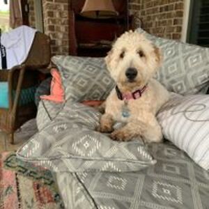 edcummings2909 avatar