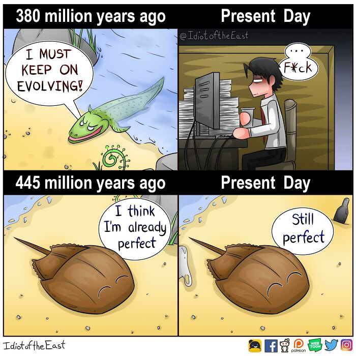 Cartoon comparing evolution and present day with humorous history memes featuring sea creatures and a stressed human at a computer.