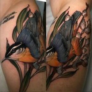 lisa_d_holland avatar