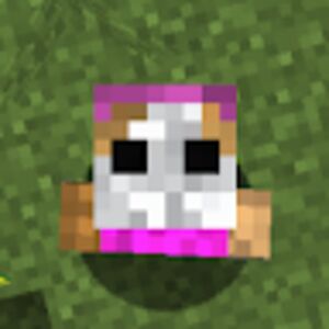 awkward_animalz avatar