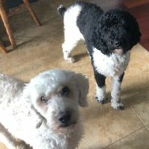 tamaraking9108 avatar