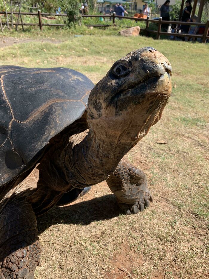 Chin Scritches Please