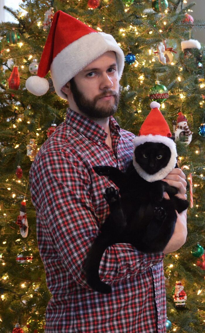 Remember That Christmas Should Be A Day Of Solemn Reflection In A Santa Hat In Front Of Your Tree With A Very Sharp And Furry Lump Of Coal That Bites You Sometimes