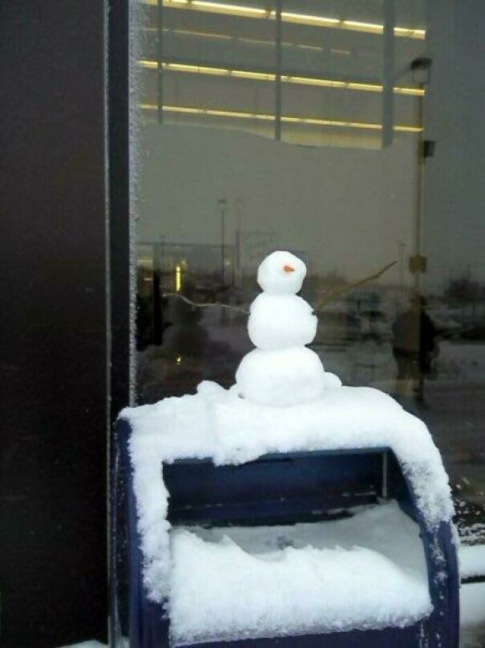 My Mom Found This Tiny Snowman At The Store, So She Added One Of Her Baby Carrots For His Nose