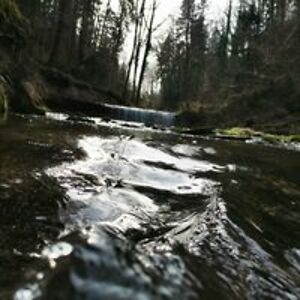 alishaschumacher06 avatar