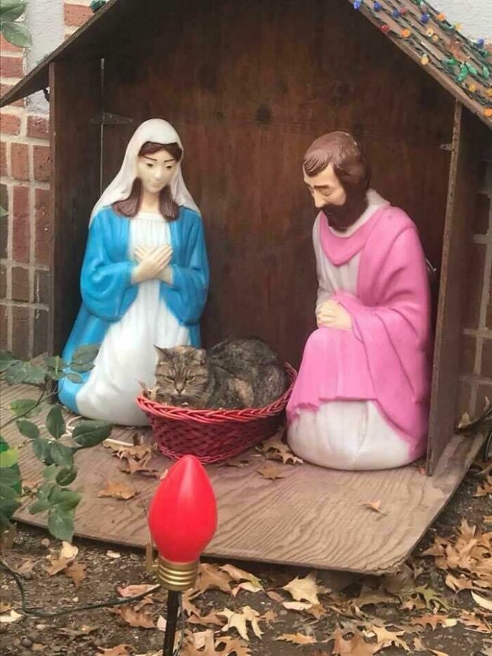 I Don't Recall Baby Jesus Having Fur