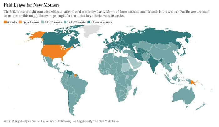 Paid Leave For New Mothers (Nyt)
