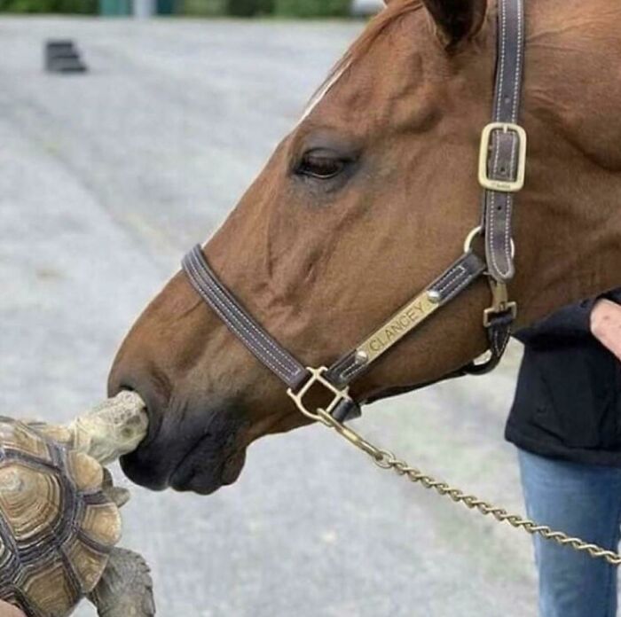 What You Got In There?